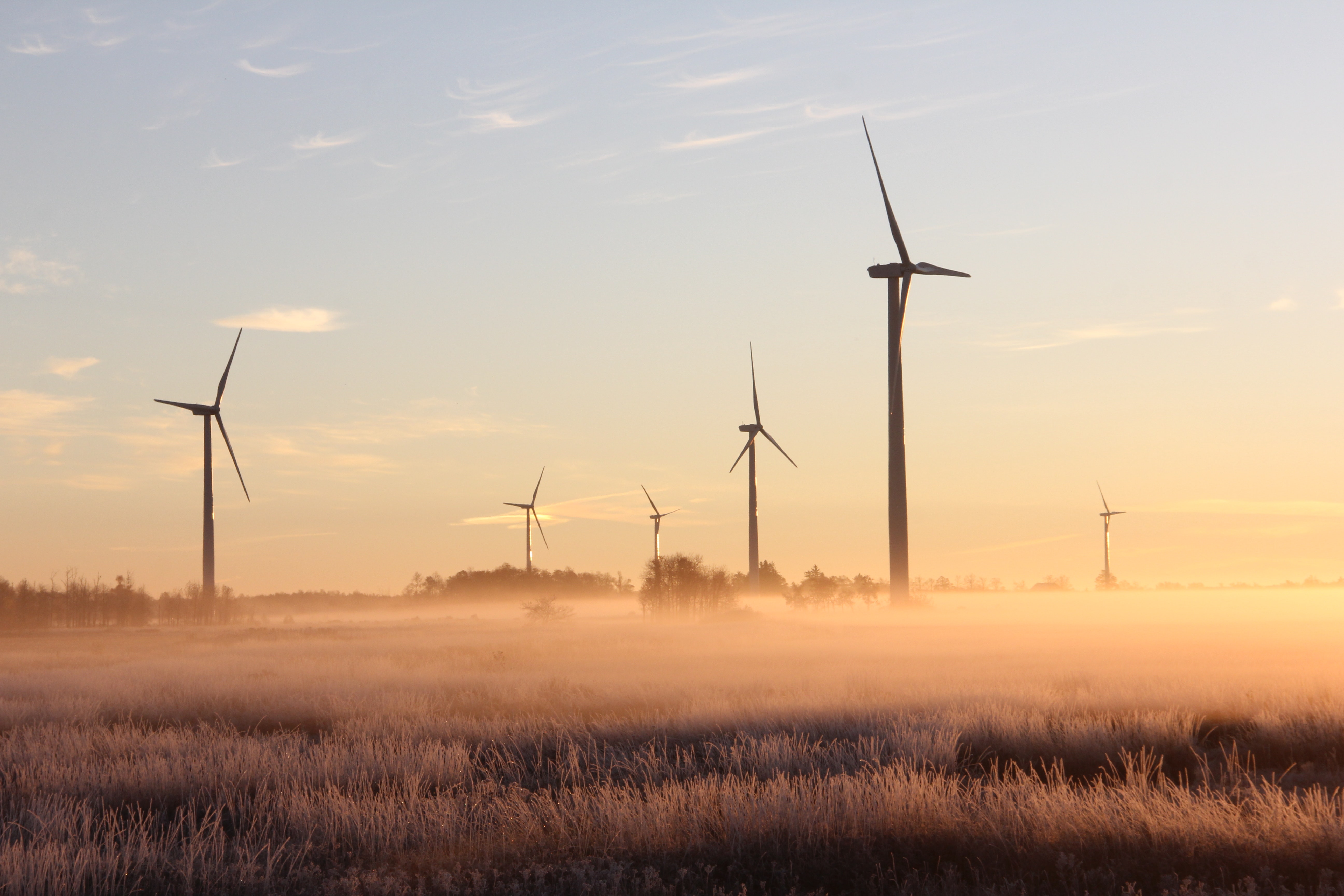 Wind turbines in the distance