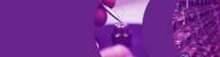 Banner 2